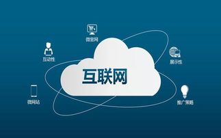 互聯網編程與網絡營銷 就業前景深度對比分析